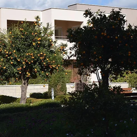 Zephyros Mandria (Paphos)